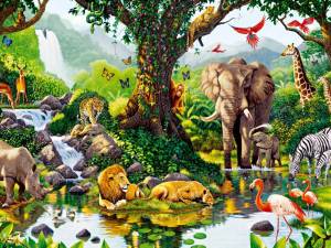 Раскраска джунгли с животными #11 #266977