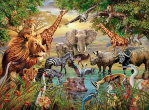 Раскраска джунгли с животными #31 #266997