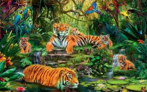 Раскраска джунгли с животными #37 #267003