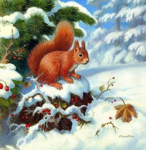 Раскраска дикие животные зимой для детей 4 5 лет #5 #267512