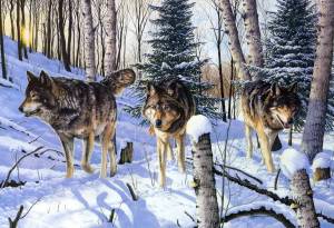 Раскраска дикие животные зимой для детей 4 5 лет #6 #267513