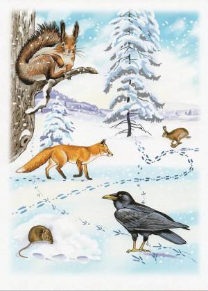 Раскраска дикие животные зимой для детей 4 5 лет #18 #267525
