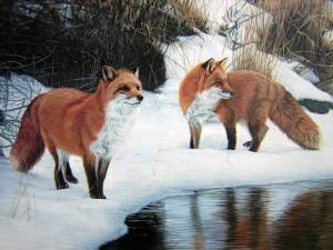 Раскраска дикие животные зимой для детей 4 5 лет #22 #267529