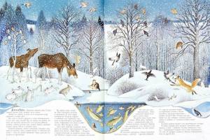 Раскраска дикие животные зимой для детей 4 5 лет #31 #267538