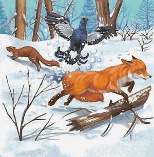 Раскраска дикие животные зимой для детей 4 5 лет #33 #267540