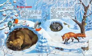 Раскраска дикие животные зимой для детей 4 5 лет #37 #267544