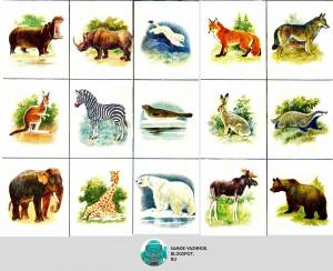 Раскраска дикие животные и дикие звери #22 #267568