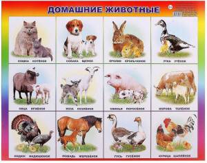 Раскраска дикие животные и их детеныши для детей 5 7 лет #11 #267596