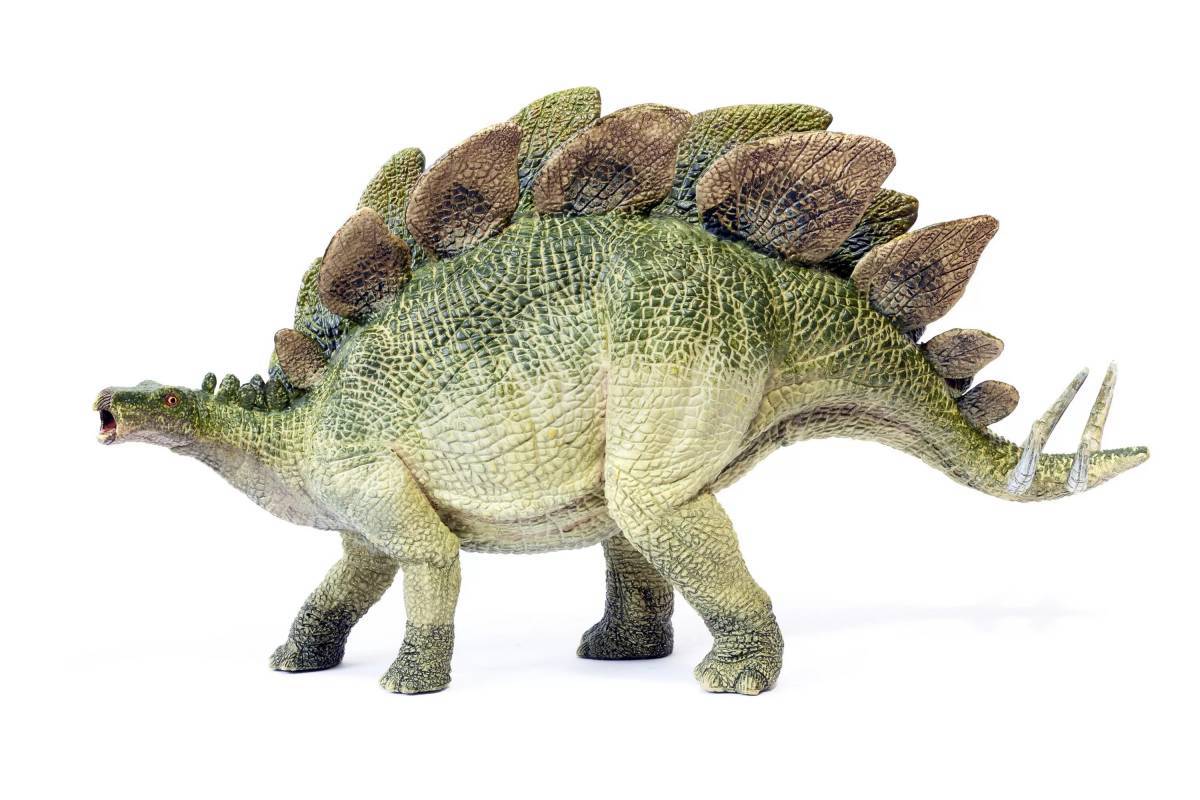 Динозавр стегозавр #3