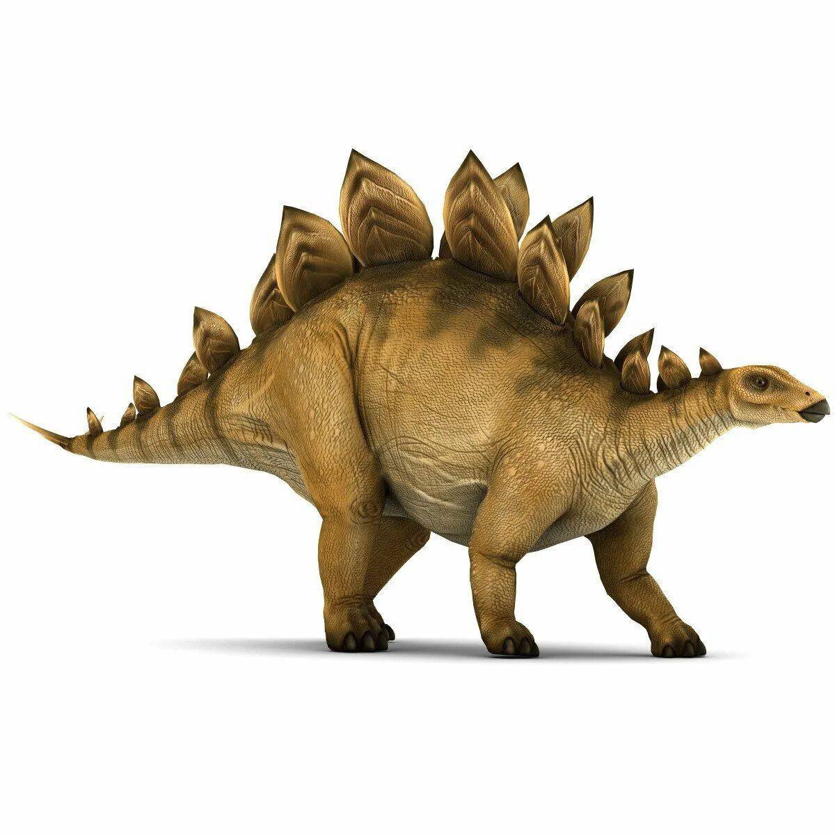Динозавр стегозавр #10
