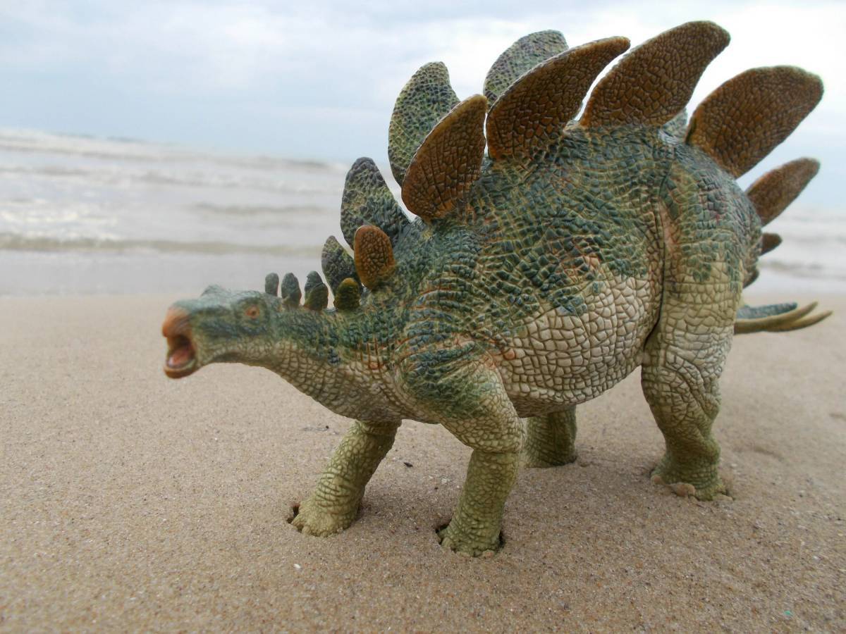 Динозавр стегозавр #15
