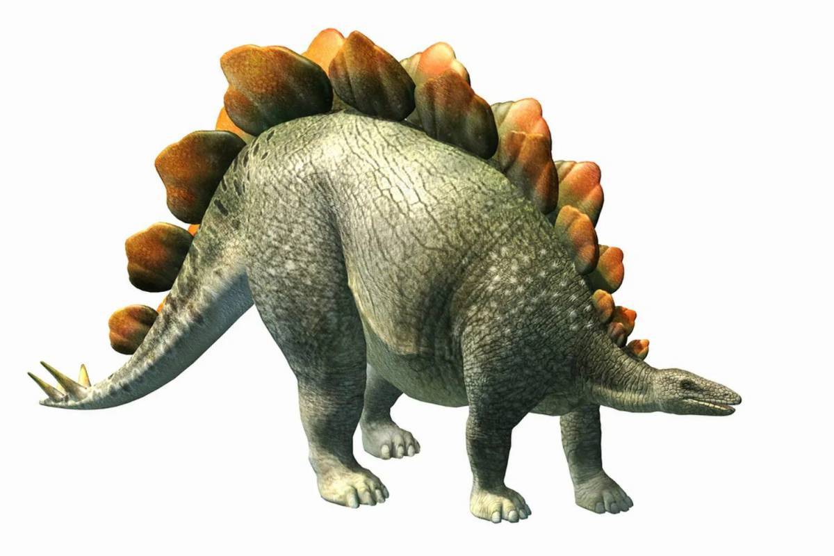 Динозавр стегозавр #16