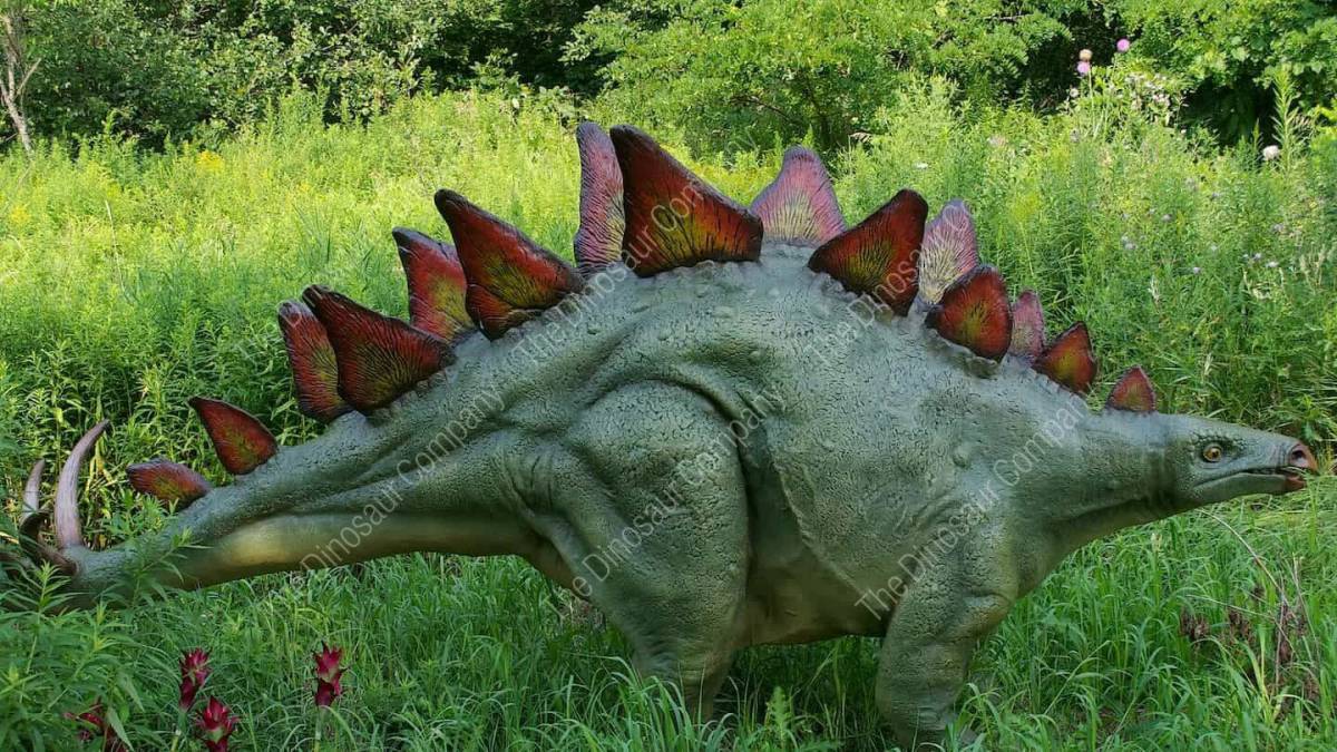 Динозавр стегозавр #18
