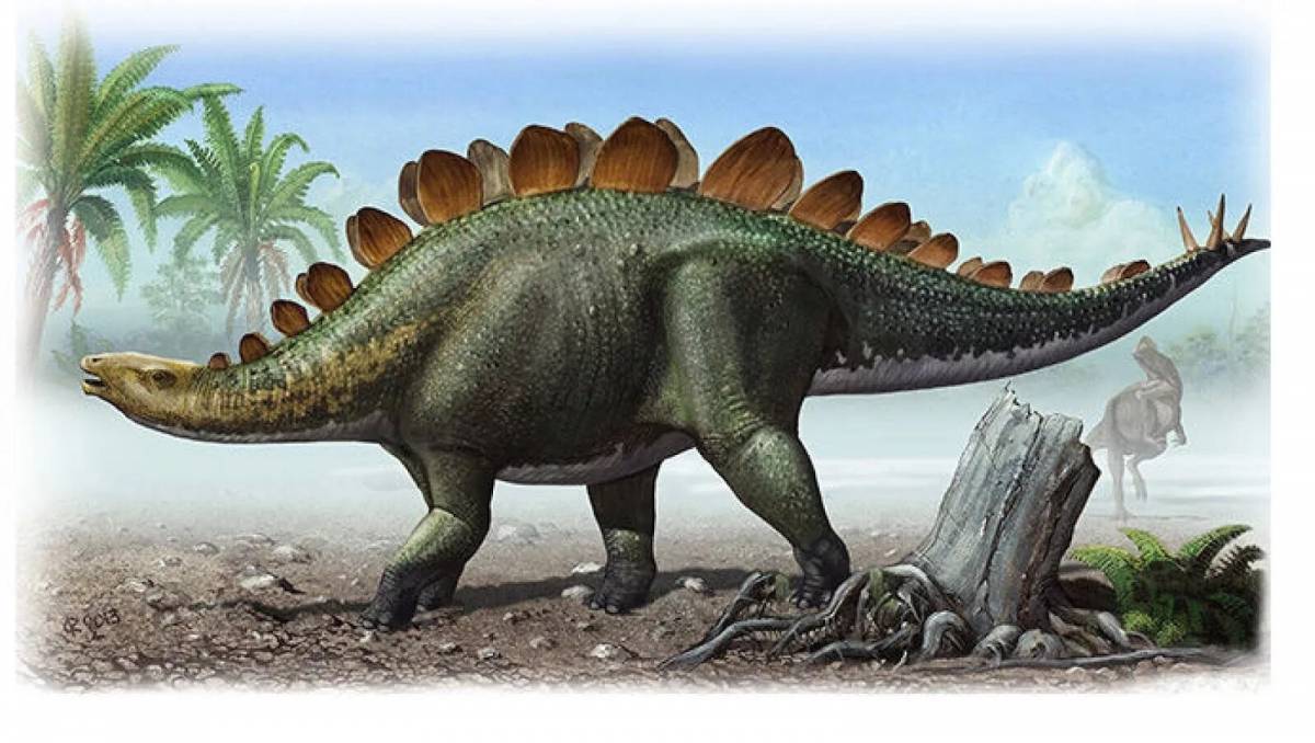 Динозавр стегозавр #20
