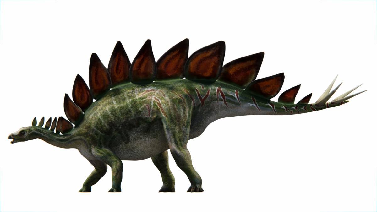 Динозавр стегозавр #24