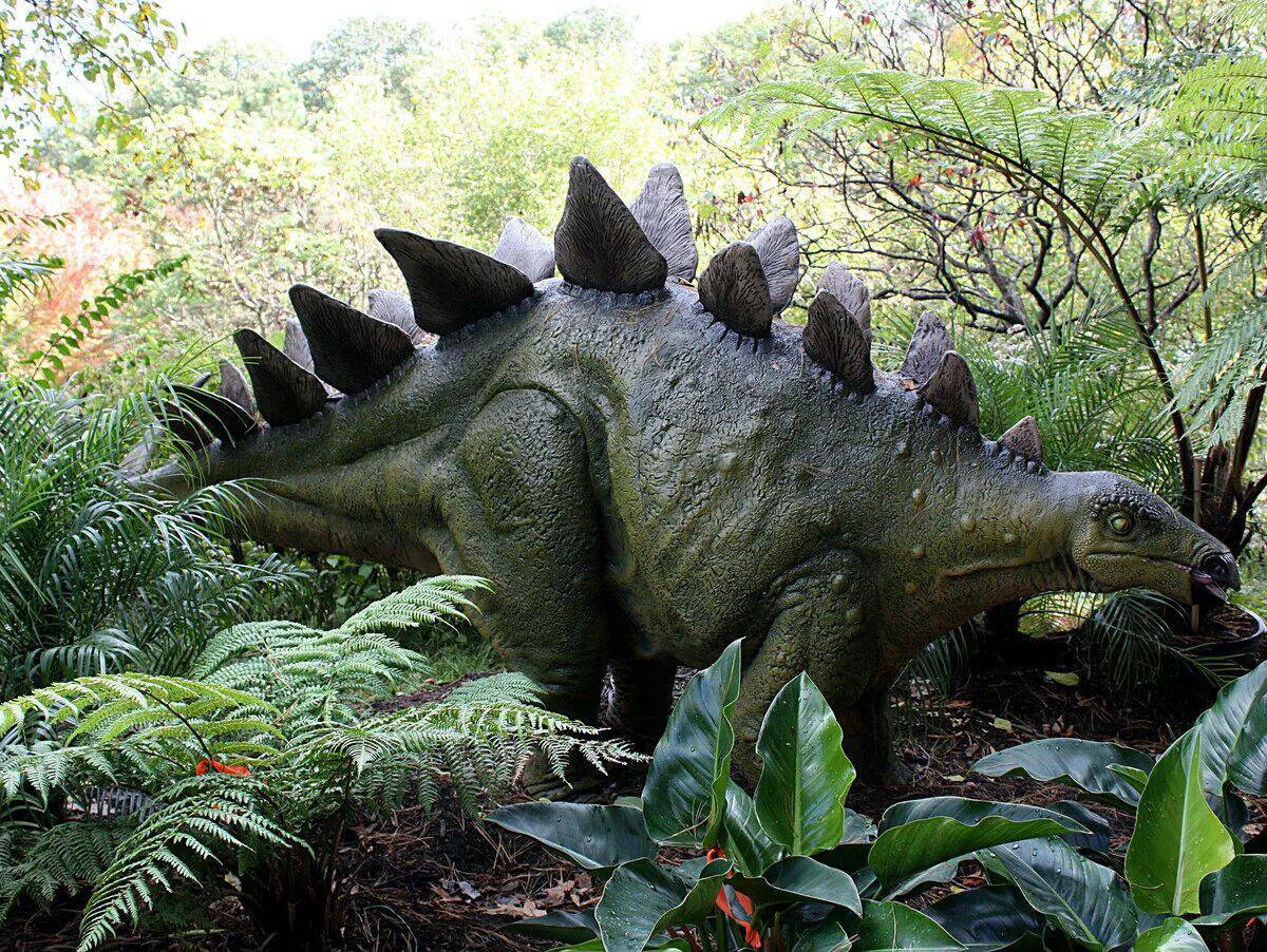 Динозавр стегозавр #26