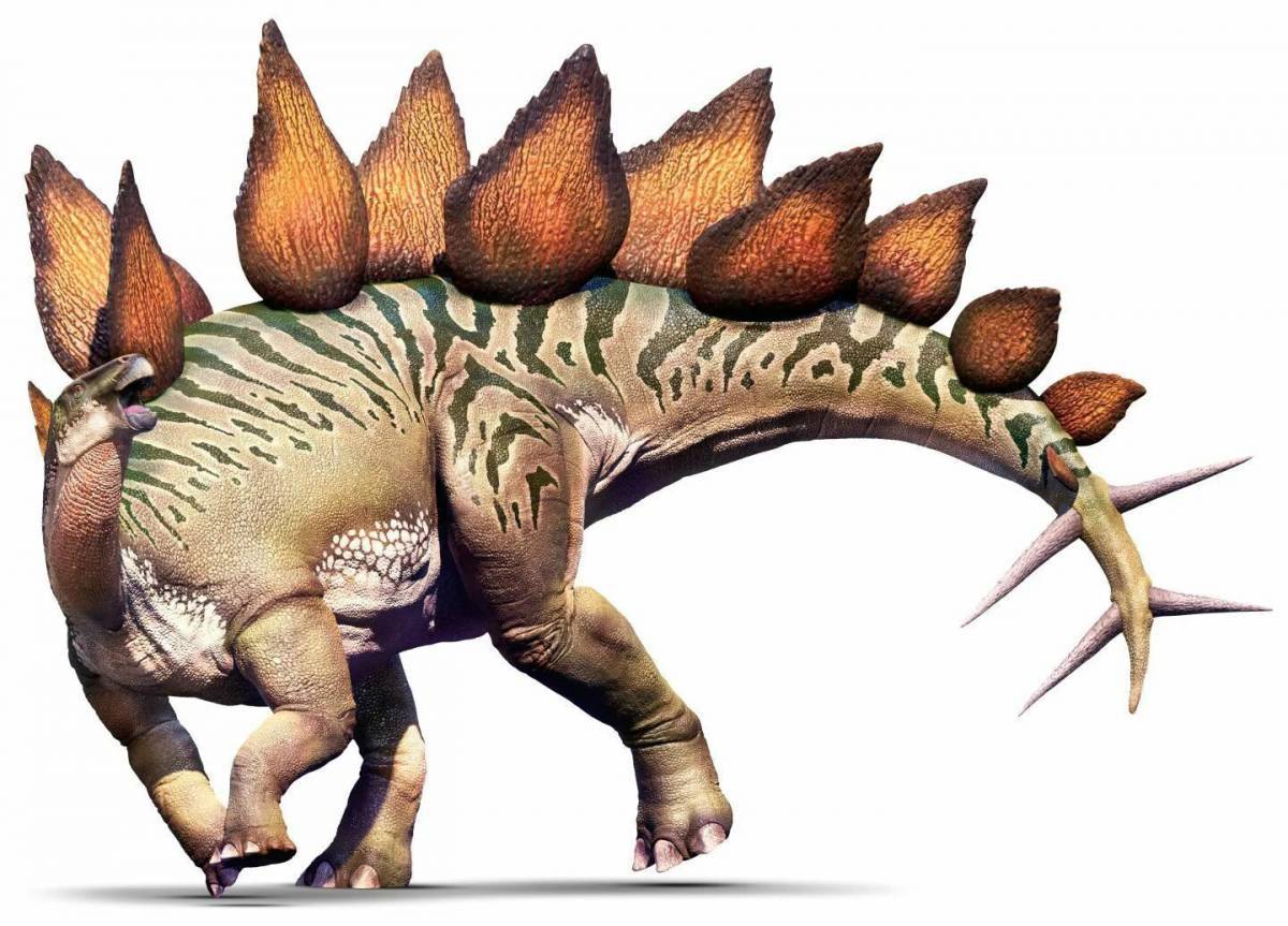 Динозавр стегозавр #27