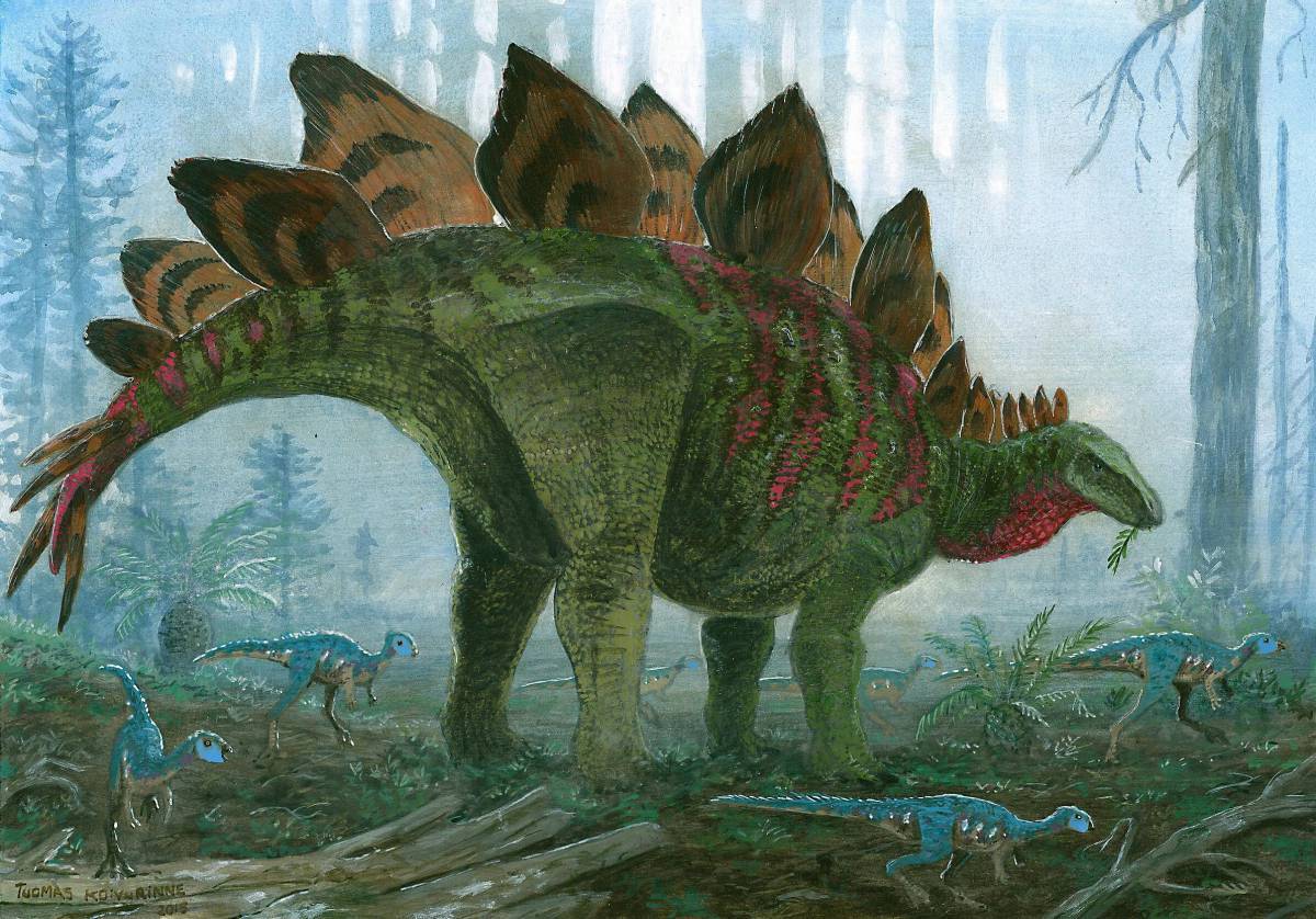 Динозавр стегозавр #31