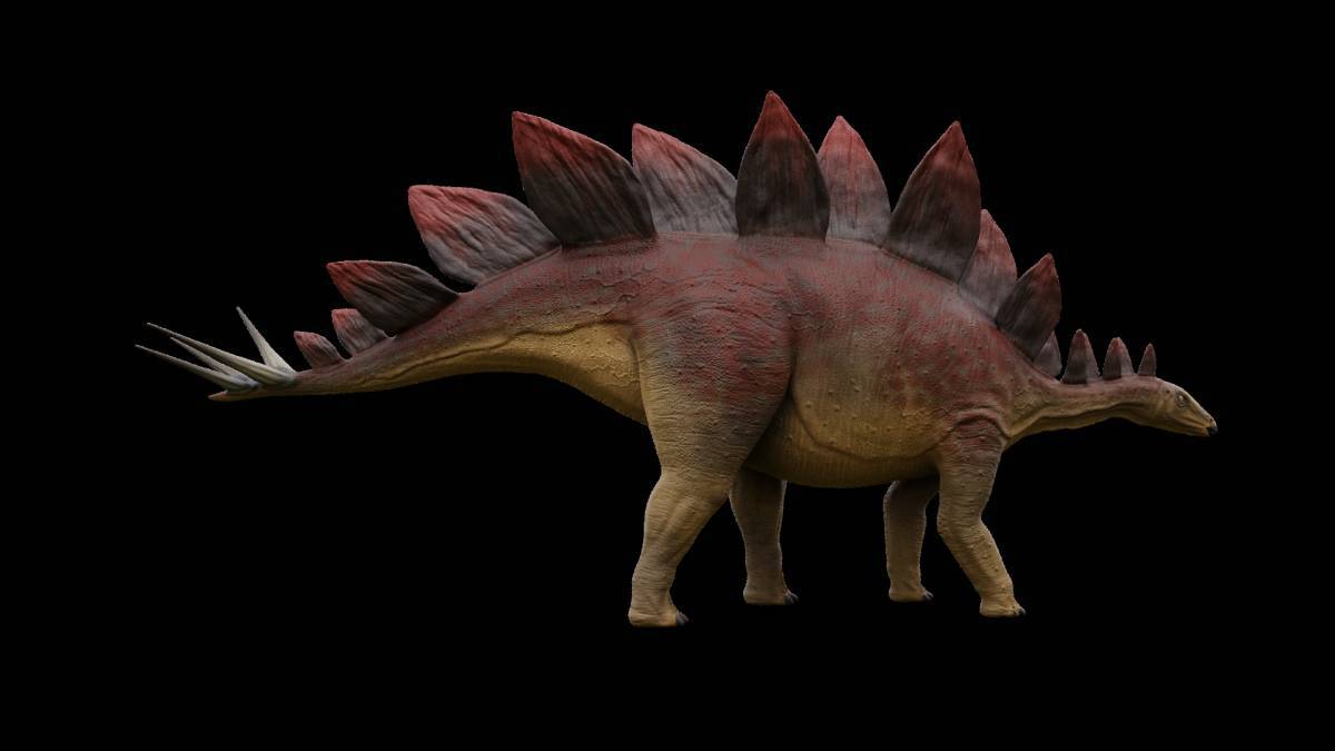 Динозавр стегозавр #32