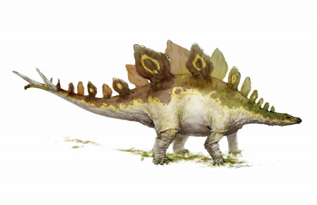 Динозавр стегозавр #33
