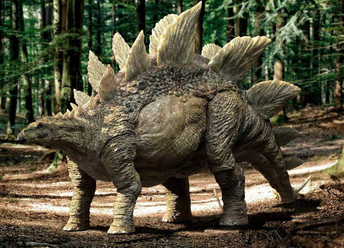 Динозавр стегозавр #37