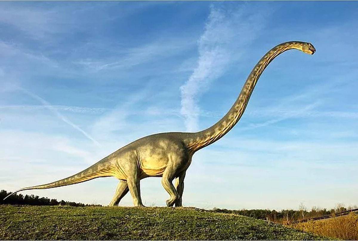 Диплодок динозавр #1