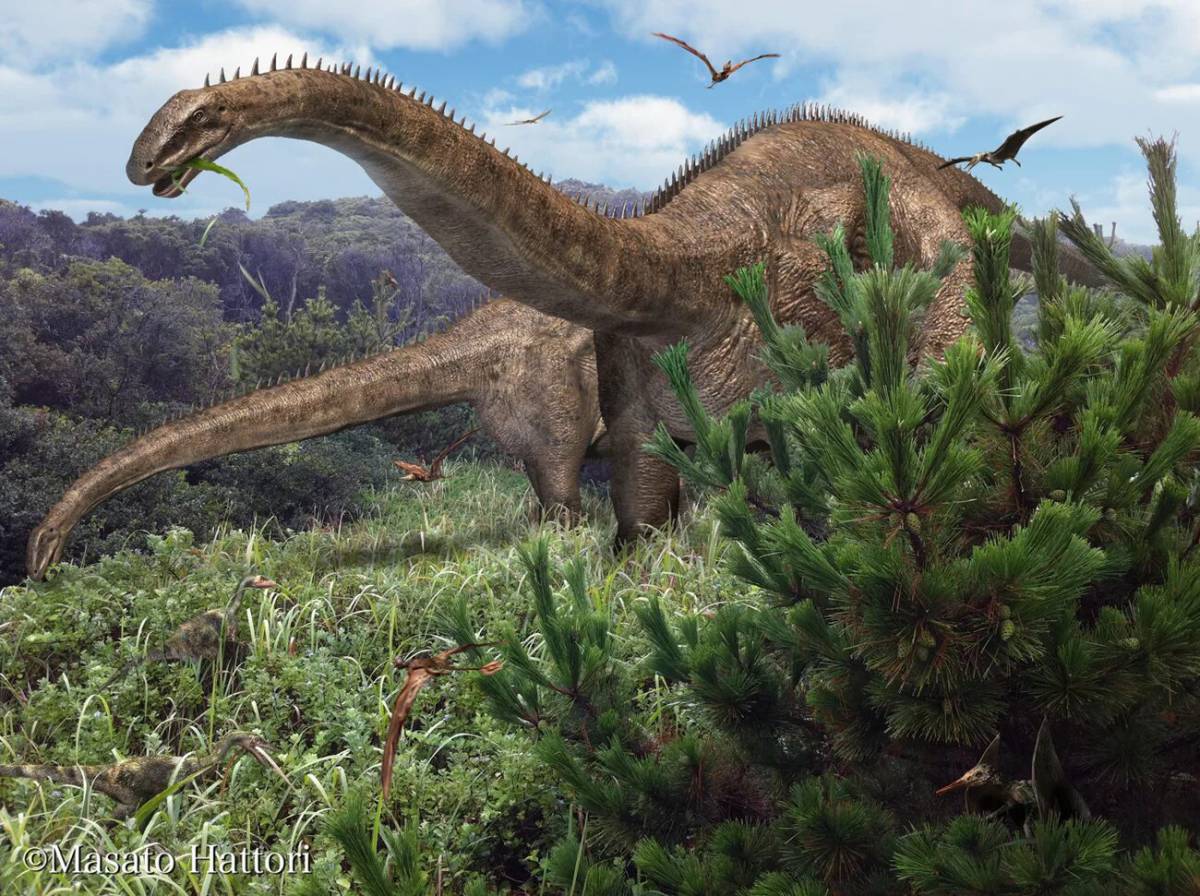 Диплодок динозавр #7