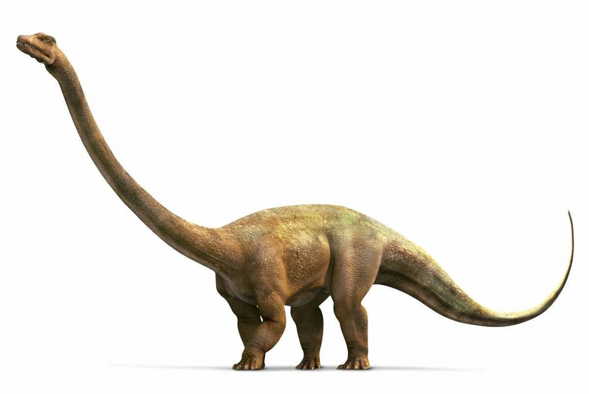 Диплодок динозавр #12