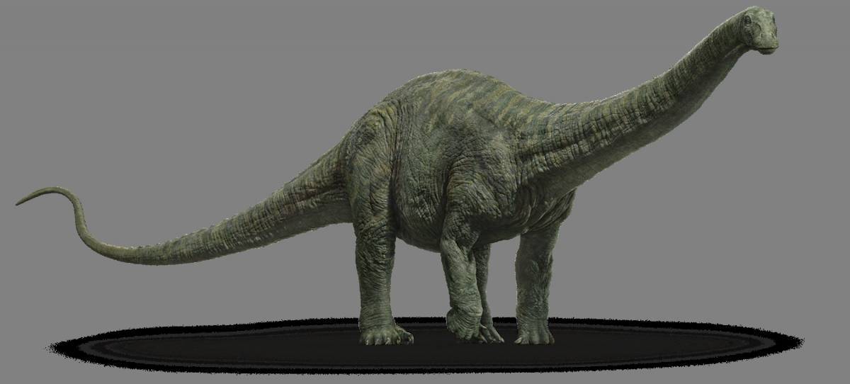 Диплодок динозавр #16