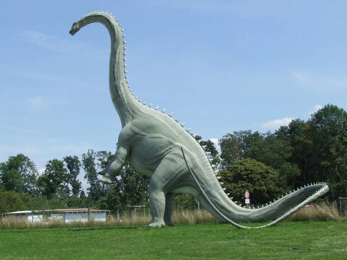 Диплодок динозавр #19