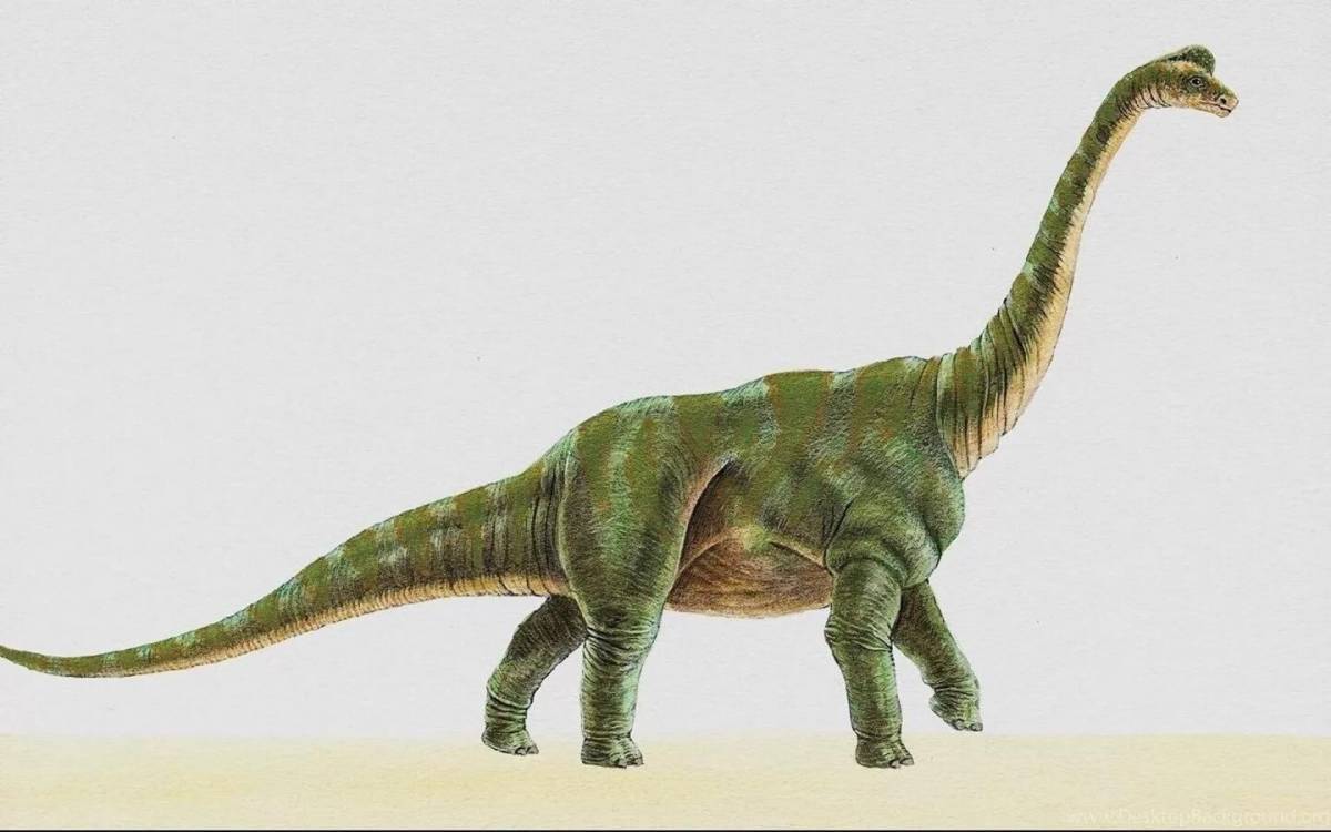 Диплодок динозавр #21