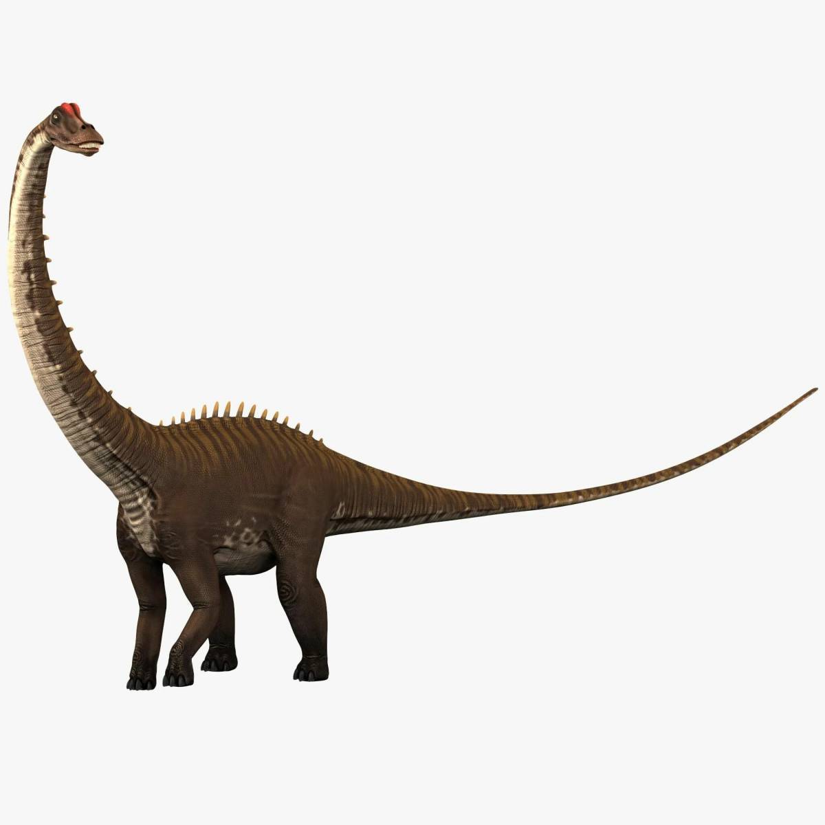 Диплодок динозавр #22