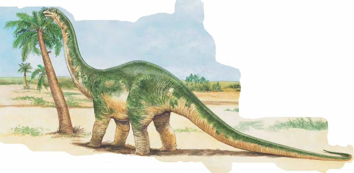 Диплодок динозавр #29