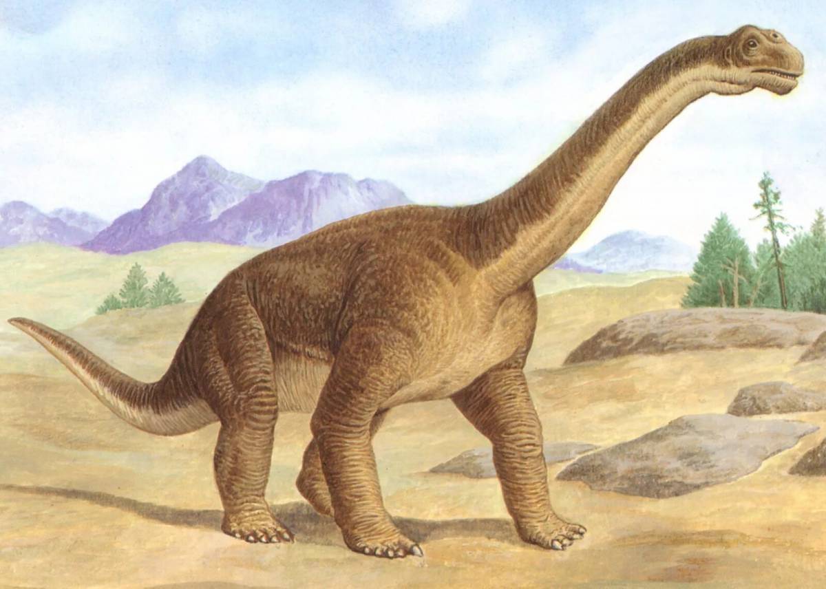 Диплодок динозавр #30