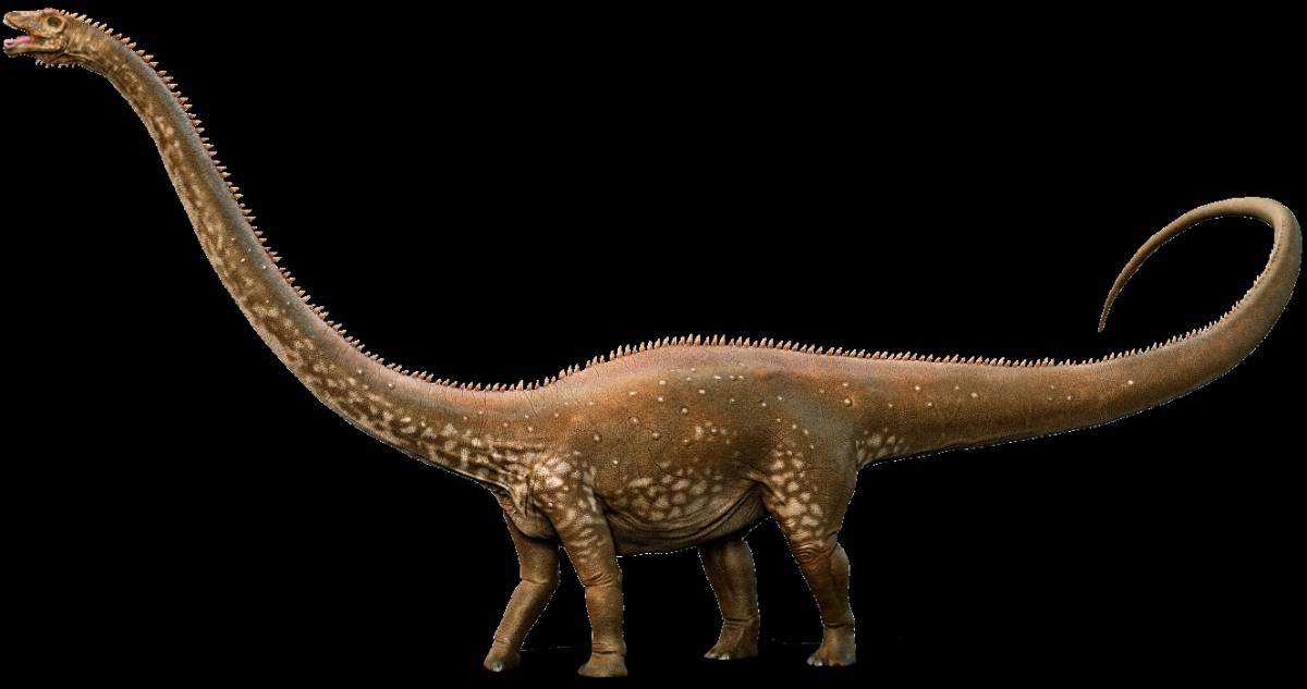 Диплодок динозавр #37