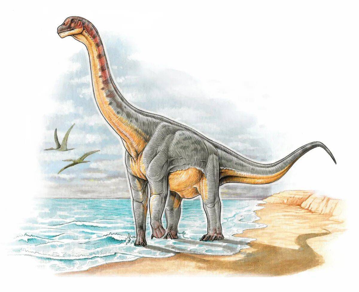 Диплодок динозавр #39