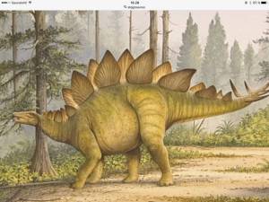Раскраска динозавр стегозавр #29 #268224