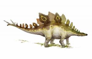 Раскраска динозавр стегозавр #33 #268228