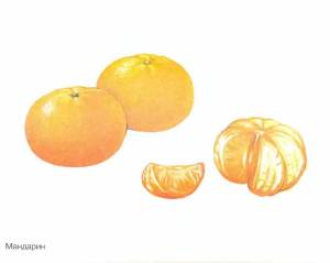 Раскраска фрукты для детей #3 #27134