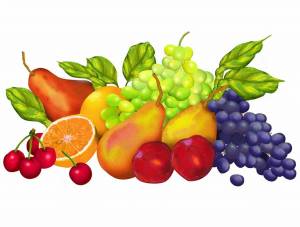 Раскраска фрукты для детей #15 #27146