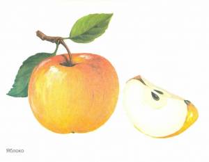 Раскраска фрукты для детей #36 #27167