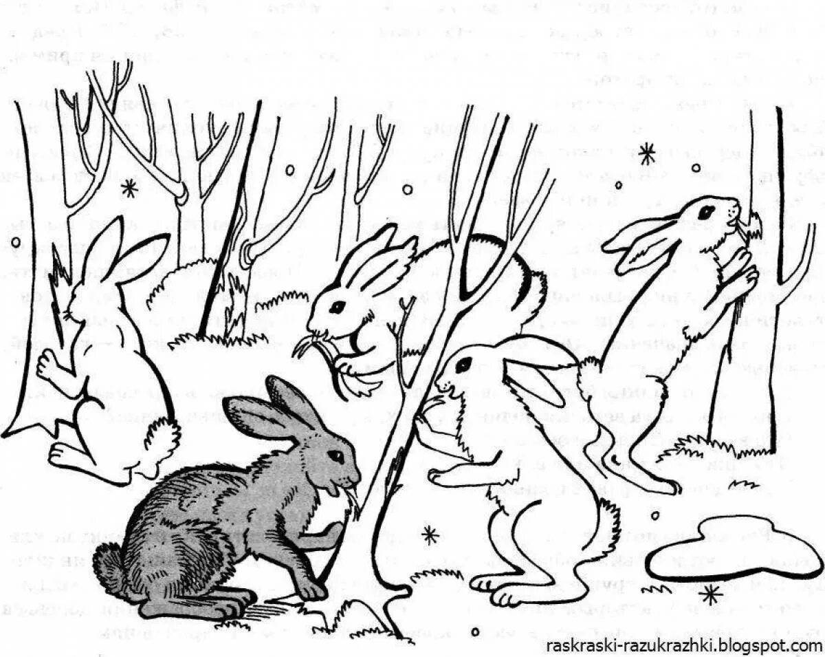 Дикие животные весной задания. Заяц раскраска для детей. Заяц в лесу раскраска. Заяц рисунок. Раскраска заяц зимой.