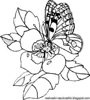 Раскраска для девочек цветы и бабочки #1 #276376