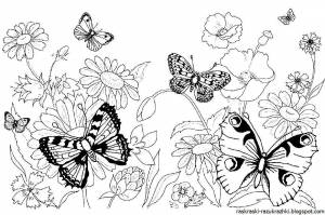 Раскраска для девочек цветы и бабочки #2 #276377
