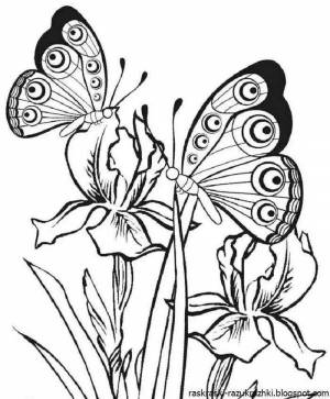 Раскраска для девочек цветы и бабочки #3 #276378