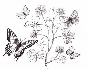Раскраска для девочек цветы и бабочки #18 #276393