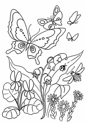 Раскраска для девочек цветы и бабочки #29 #276404