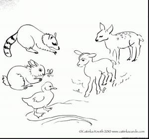 Раскраска для детей 3 4 лет дикие животные зимой #20 #277518