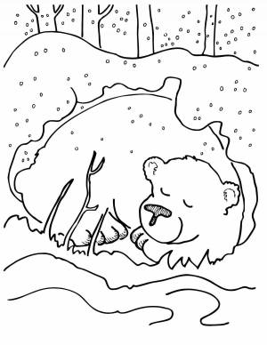 Раскраска для детей 3 4 лет дикие животные зимой #31 #277529