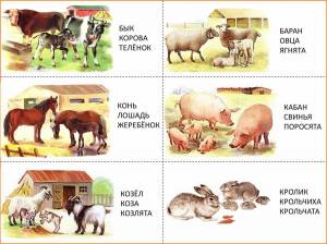Раскраска для детей 5 лет домашние животные #31 #279445